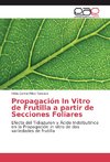 Propagación In Vitro de Frutilla a partir de Secciones Foliares