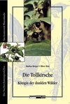 Die Tollkirsche