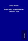 Bilder-Atlas zur Zoologie der niederen Tiere