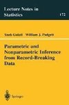 Parametric and Nonparametric Inference from Record-Breaking Data