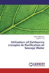 Utilization of Eichhornia crasspies in Purification of Sewage Water