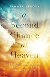 Second Chance at Heaven | Softcover