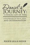 Daniel's Journey