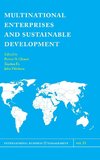 Multinational Enterprises and Sustainable Development