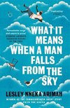 What It Means When A Man Falls From The Sky