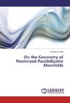 On the Geometry of Finslerized Parallelizable Manifolds