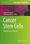 Cancer Stem Cells