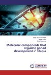 Molecular components that regulate gonad development in tilapia