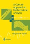 A Concise Approach to Mathematical Analysis