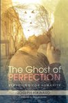 The Ghost of Perfection