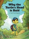 Why the Turtle's Head is Bald