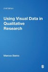 Using Visual Data in Qualitative Research