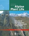 Alpine Plant Life