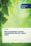 How cytoskeleton senses abiotic/biotic stimuli in plant cells?