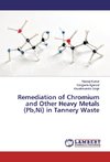 Remediation of Chromium and Other Heavy Metals (Pb,Ni) in Tannery Waste