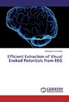 Efficient Extraction of Visual Evoked Potentials from EEG