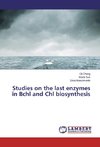 Studies on the last enzymes in Bchl and Chl biosynthesis