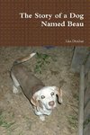 The Story of a Dog Named Beau