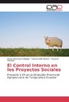 El Control Interno en los Proyectos Sociales