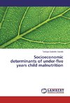 Socioeconomic determinants of under-five years child malnutrition