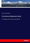 The American Palaeozoic Fossils