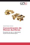 Concentración de Menas Auríferas