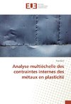 Analyse multiéchelle des contraintes internes des métaux en plasticité