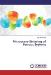 Microwave Sintering of Ferrous Systems