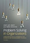 Problem Solving in Organizations