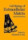 Cell Biology of Extracellular Matrix