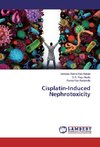 Cisplatin-Induced Nephrotoxicity