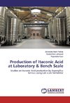 Production of Itaconic Acid at Laboratory & Bench Scale