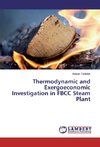 Thermodynamic and Exergoeconomic Investigation in FBCC Steam Plant