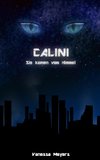 Calini - Sie kamen vom Himmel