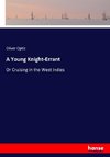 A Young Knight-Errant