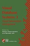 Visual Database Systems 3