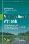 Multifunctional Wetlands