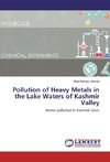 Pollution of Heavy Metals in the Lake Waters of Kashmir Valley