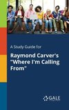 A Study Guide for Raymond Carver's 