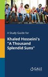 A Study Guide for Khaled Hosseini's 