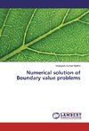 Numerical solution of Boundary value problems