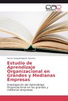 Estudio de Aprendizaje Organizacional en Grandes y Medianas Empresas