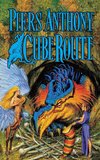 CUBE ROUTE