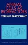 Animal Cells as Bioreactors