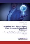 Modeling and Simulation of Macroeconomic Feedback Processes