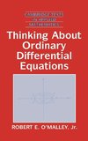 Thinking about Ordinary Differential Equations