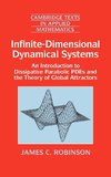 Infinite-Dimensional Dynamical Systems