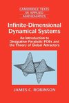 Infinite-Dimensional Dynamical Systems