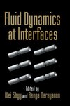 Fluid Dynamics at Interfaces