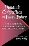 Dynamic Competition and Public Policy